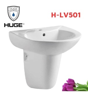 Chậu lavabo chân lửng H-LV501