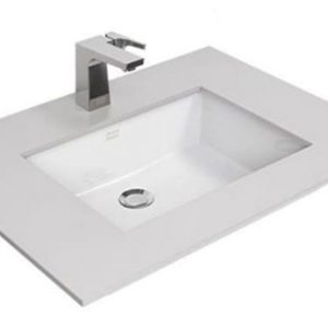 Chậu rửa âm bàn American Standard WP-F514