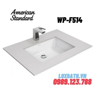 Chậu rửa âm bàn American Standard WP-F514