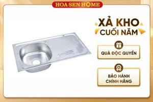 Chậu rửa chén Toàn Mỹ AS 1- 2