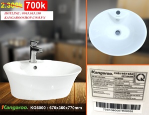 Chậu rửa Kangaroo KG6000