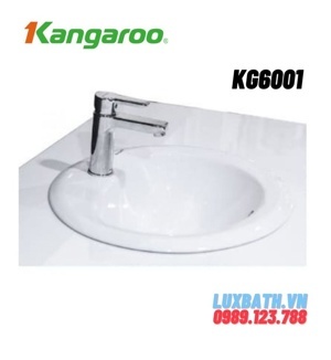 Chậu rửa Kangaroo KG6001