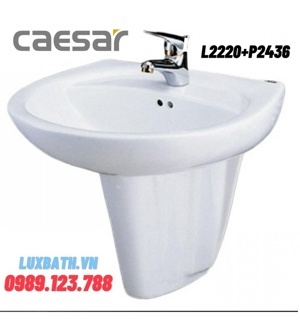 Chậu rửa Lavabo Caesar L2220/P2436