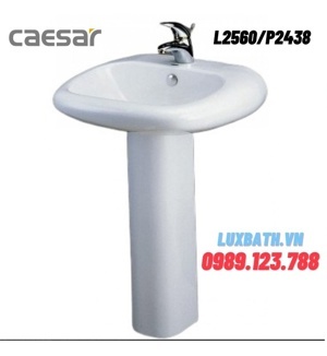 Chậu rửa lavabo Caesar L2560 + P2438