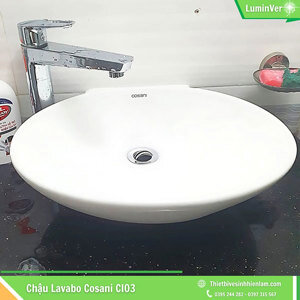 Chậu Rửa Lavabo Cosani CI03