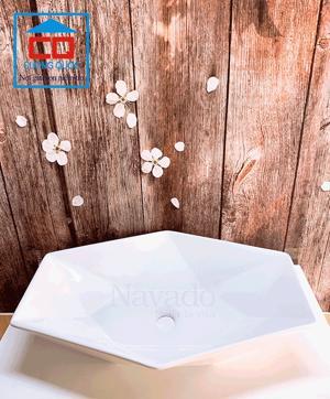 Chậu rửa lavabo nghệ thuật RS1077