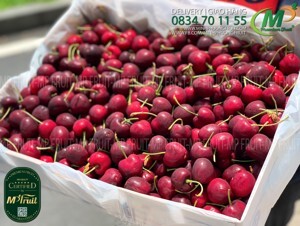 Cherry đỏ Canada