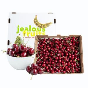 Cherry đỏ Canada