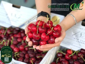 Cherry đỏ New Zealand