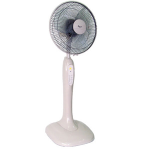 Quạt cây - đứng Chinghai HS916A - 55W