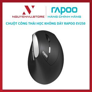 Chuột không dây Rapoo EV250