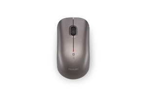 Chuột máy tính - Mouse Prolink PMB8001