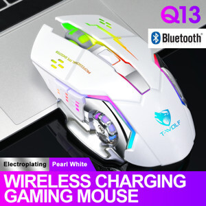 Chuột máy tính - Mouse T-Wolf Q13