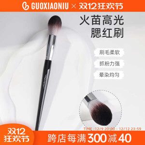 Cọ đánh mặt Professional High lighter Brush