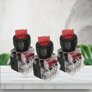 Công tắc 2 vị trí tự giữ Hanyoung MRT-K2A1D0 (R,G,Y,A,W)
