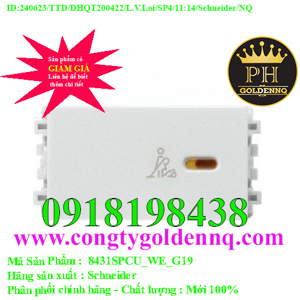 Công tắc 8431SPCU_WE_G19