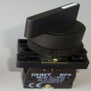 Công tắc Chint NP2-EJ21