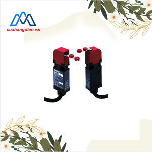 Công tắc hành trình Omron D4GS-N2R-3