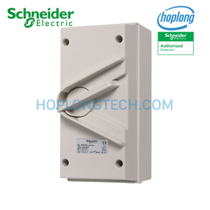 Công tắc ngắt điện phòng thấm nước  Schneider IP66 WHD20-GY