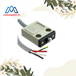 Công tắc Omron D4C-6201