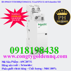 Công tắc tơ Schneider A9C20731