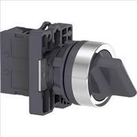 Công tắc xoay 2 vị trí Schneider XA2ED41