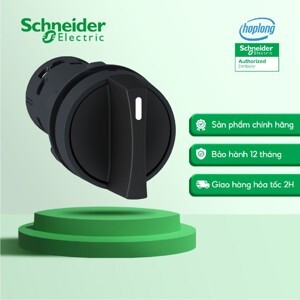 Công tắc xoay 2 vị trí Schneider XB7ND25