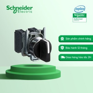 Công tắc xoay Schneider XB4BD33