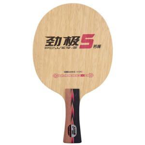 Cốt vợt bóng bàn DHS PG5