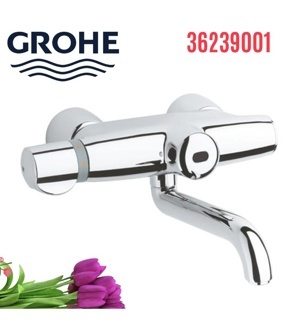 Củ sen GROHE 36239001