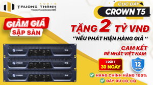 Cục đẩy công suất Crown T10