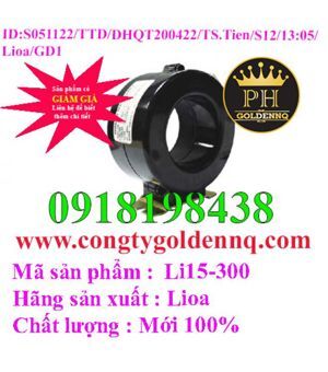 Cuộn biến dòng Lioa Li15-300