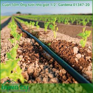 Cuộn dây ống nước nhựa đen 50m  gardena 01347-20