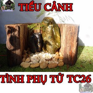 Cuốn sách về tình yêu thương - Tình phụ tử