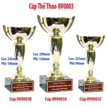 Cúp vàng thể thao 8V0003