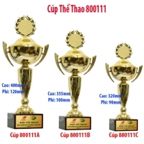 Cúp vàng thể thao 8V0111