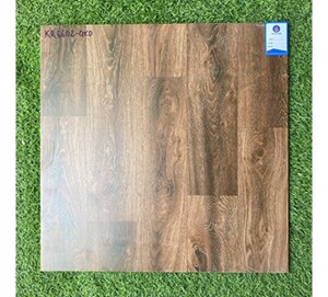 Đá bán sứ mờ Viglacera 60x60 KR6602-GRD