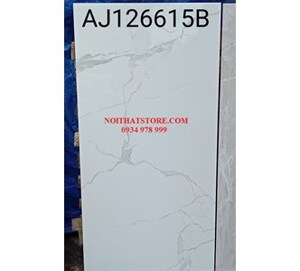 Đá bóng kính Trung Quốc 60x120 AJ126615B