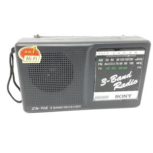 Đài Sony SW902