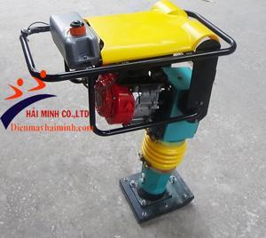 Đầm dùi chạy xăng Honda GX 160 (5.5HP)