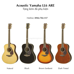 Đàn Acoustic Guitar LL6//ARE