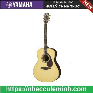 Đàn Acoustic Guitar LL6//ARE