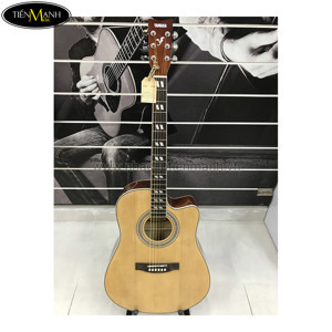 Đàn Acoustic Guitar Yamaha F6000BK