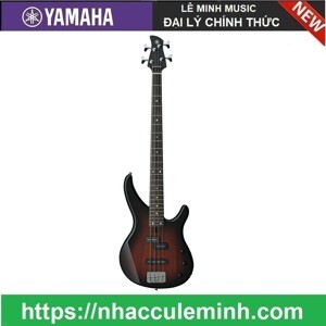 Đàn Electric Bass TRBX174