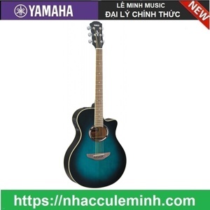 Đàn Guitar Acoucstic Yamaha APX500IIBK