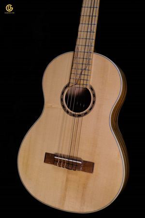 Đàn Guitar Acoustic Ba Đờn D200