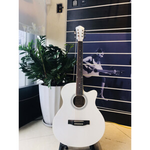 Đàn guitar acoustic Caravan HS-4010WH