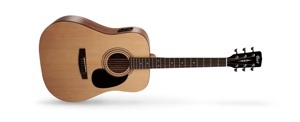 Đàn Guitar Acoustic Cort AD810E