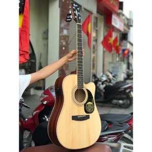 Đàn Guitar Acoustic Cort AD880CE