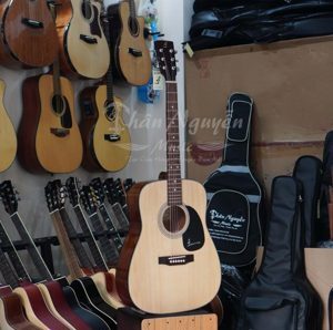 Đàn Guitar Acoustic D-120